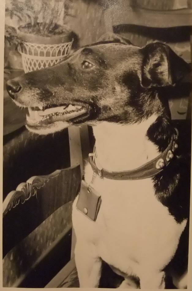 Alte Familiefotos Thoma 184